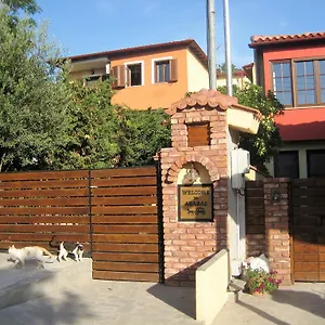 3* Guest house Arabas